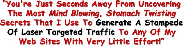You're Just Seconds Away From Uncovering The Most Mind Blowing, Stomach Twisting Secrets That I Use To Generate A Stampede Of Laser Targeted Traffic To Any Of My Web Sites With Very Little Effort!